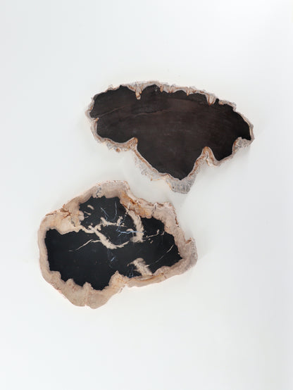 Petrified Wood Slices and Slabs Set of 2 - Expert Wholesale and Supplier of Wholesale Crystals & Bulk Gemstones, []
