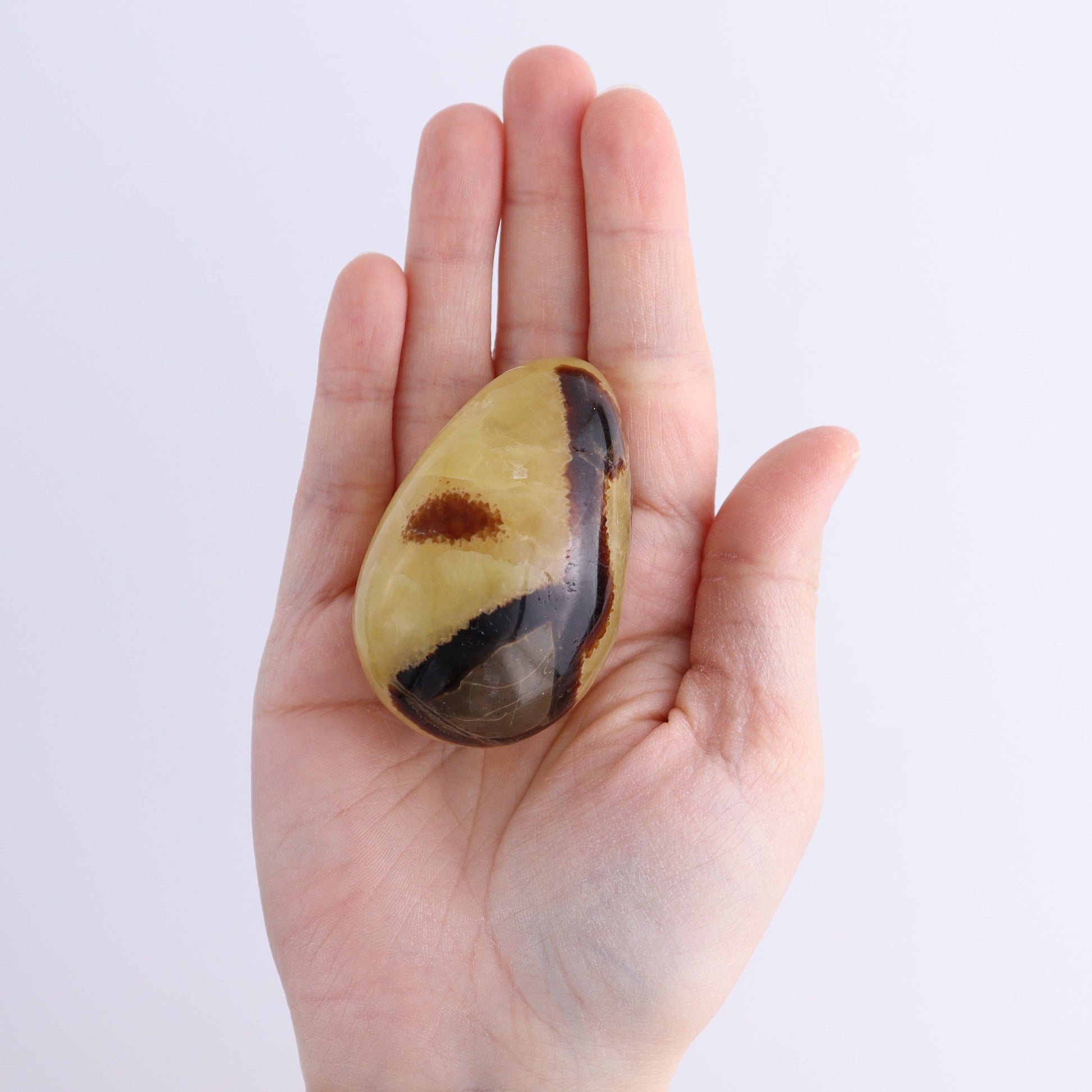 Septarian Eggs Set of 6 - Expert Wholesale and Supplier of Wholesale Crystals & Bulk Gemstones, ["Eggs","Madagascar","Septarian"]