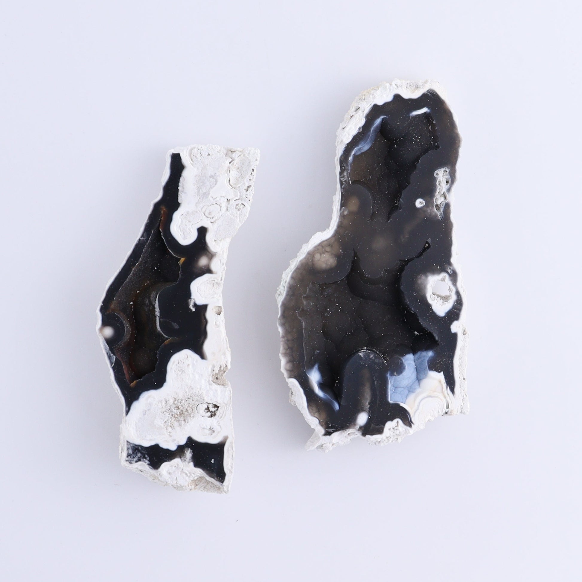 Agatized Coral Flat - Expert Wholesale and Supplier of Wholesale Crystals & Bulk Gemstones, ["Agate","Agatized Coral","Coral","United States"]