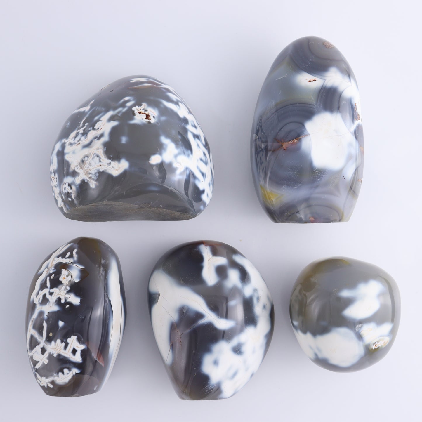 Orca Agate Freeform Set of 5 - Expert Wholesale and Supplier of Wholesale Crystals & Bulk Gemstones, ["Freeforms","Madagascar","Orca Agate"]