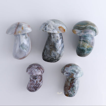Jasper Mushrooms Set of 5