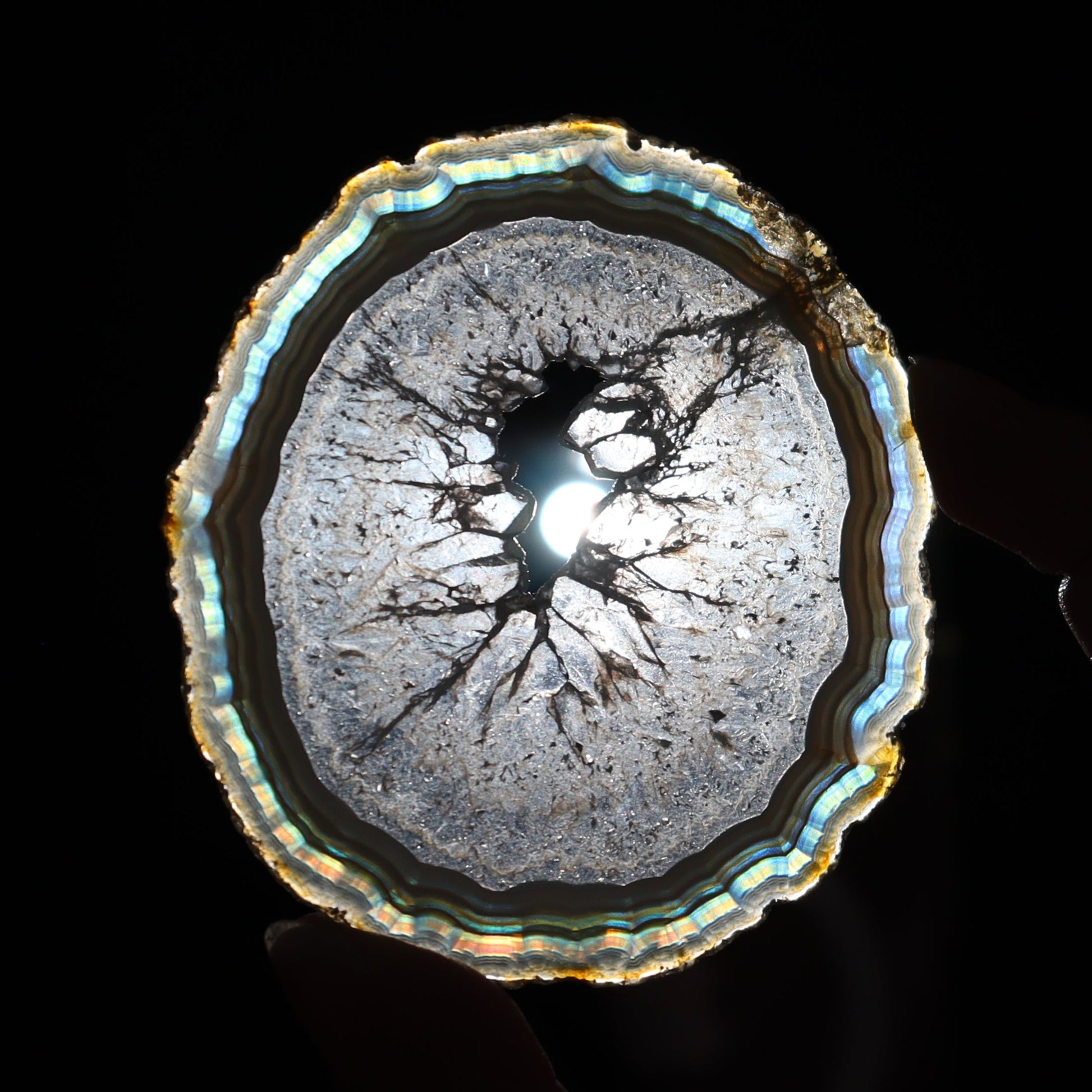 Iris Agate Slices Set of 6 - Expert Wholesale and Supplier of Wholesale Crystals & Bulk Gemstones, ["Agate","Iris Agate","Slices and Slabs"]
