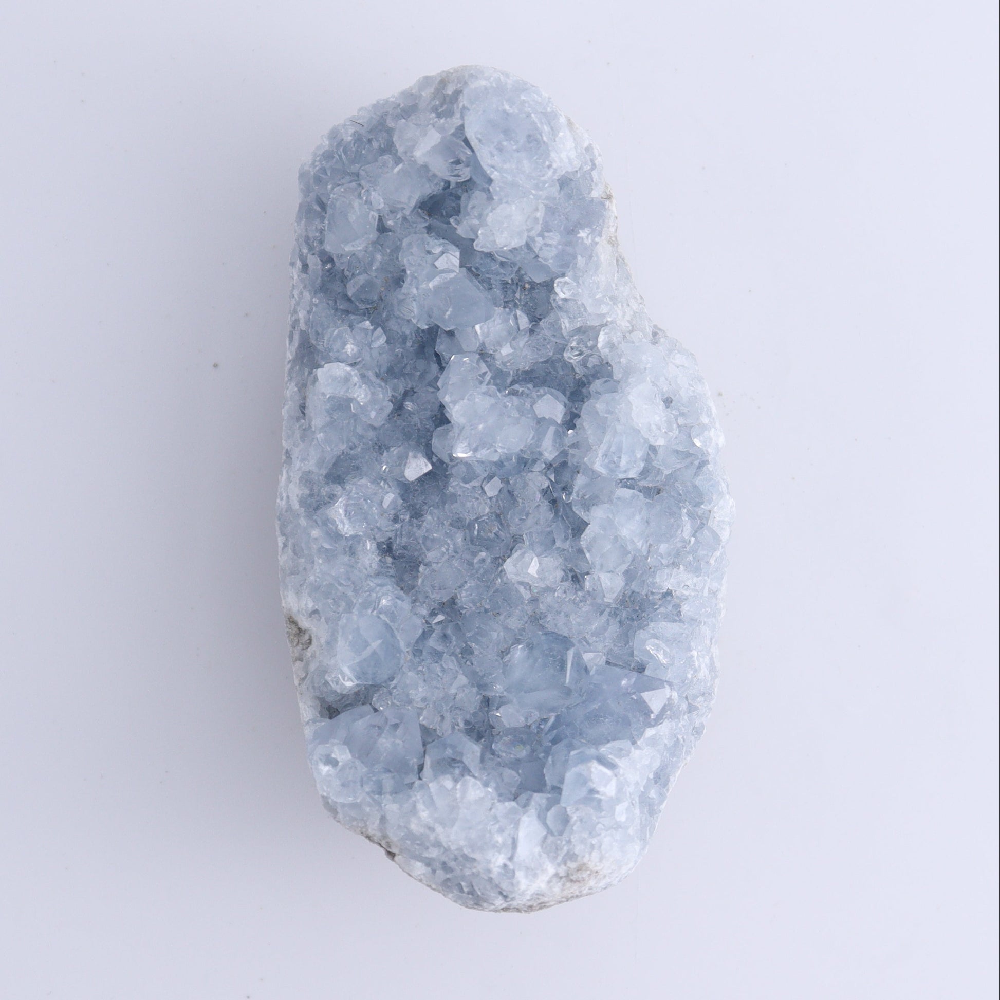 Celestite Clusters Set of 4 - Expert Wholesale and Supplier of Wholesale Crystals & Bulk Gemstones, ["Celestite","Freeform"]