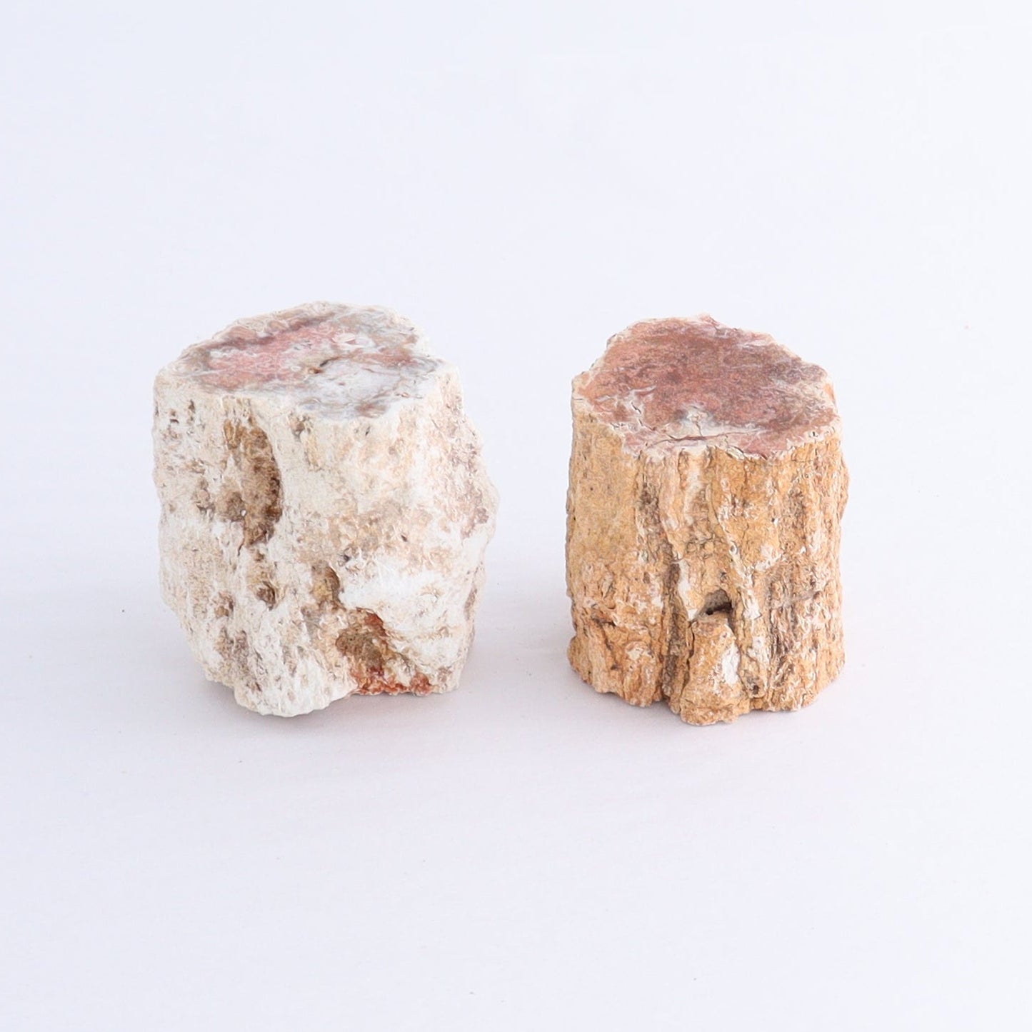 Petrified Wood Cut Bases Set of 10 - Expert Wholesale and Supplier of Wholesale Crystals & Bulk Gemstones, ["Cut Base","Petrified Wood"]