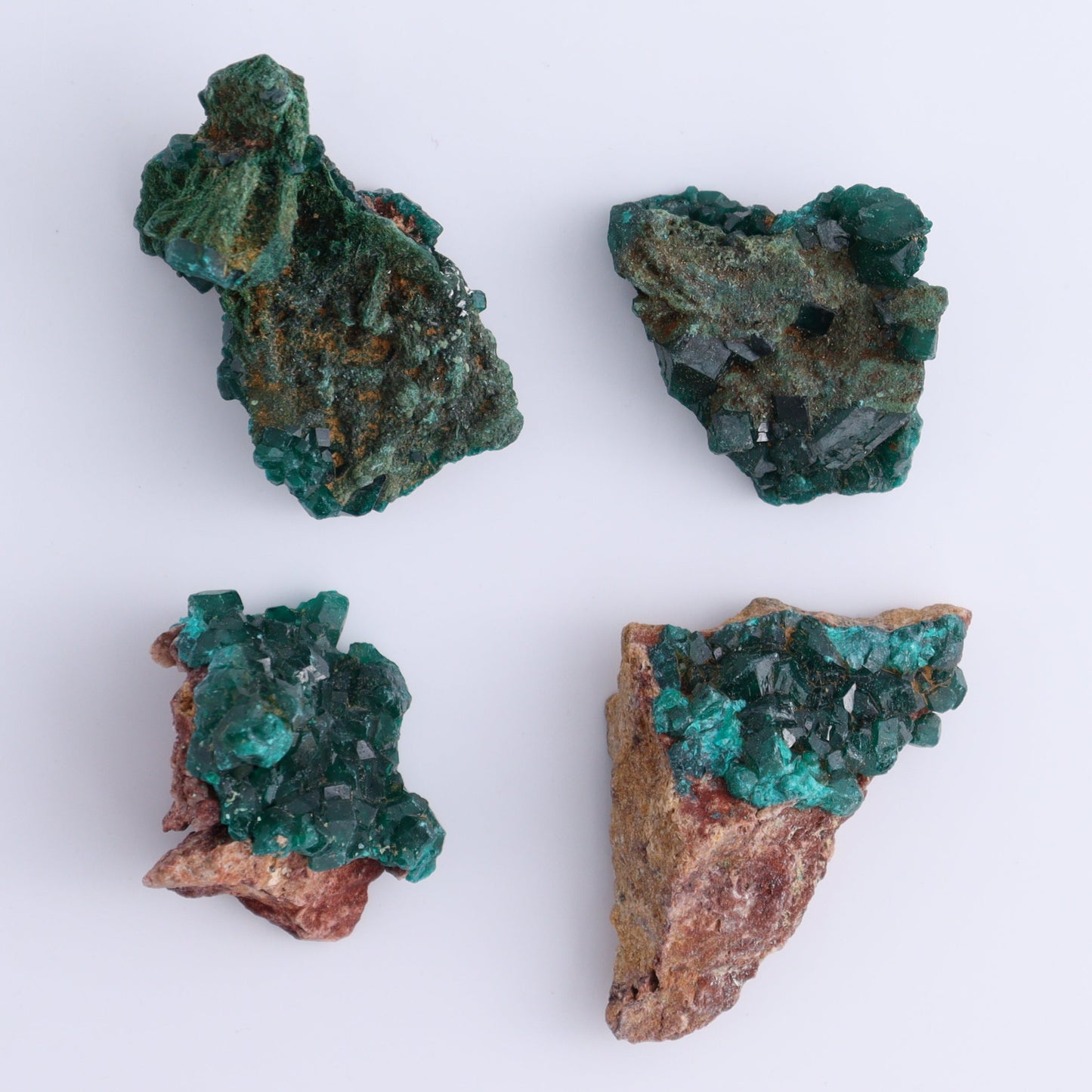 Dioptase Set of 12 - Expert Wholesale and Supplier of Wholesale Crystals & Bulk Gemstones, ["dioptase","Freeform","Freeforms"]