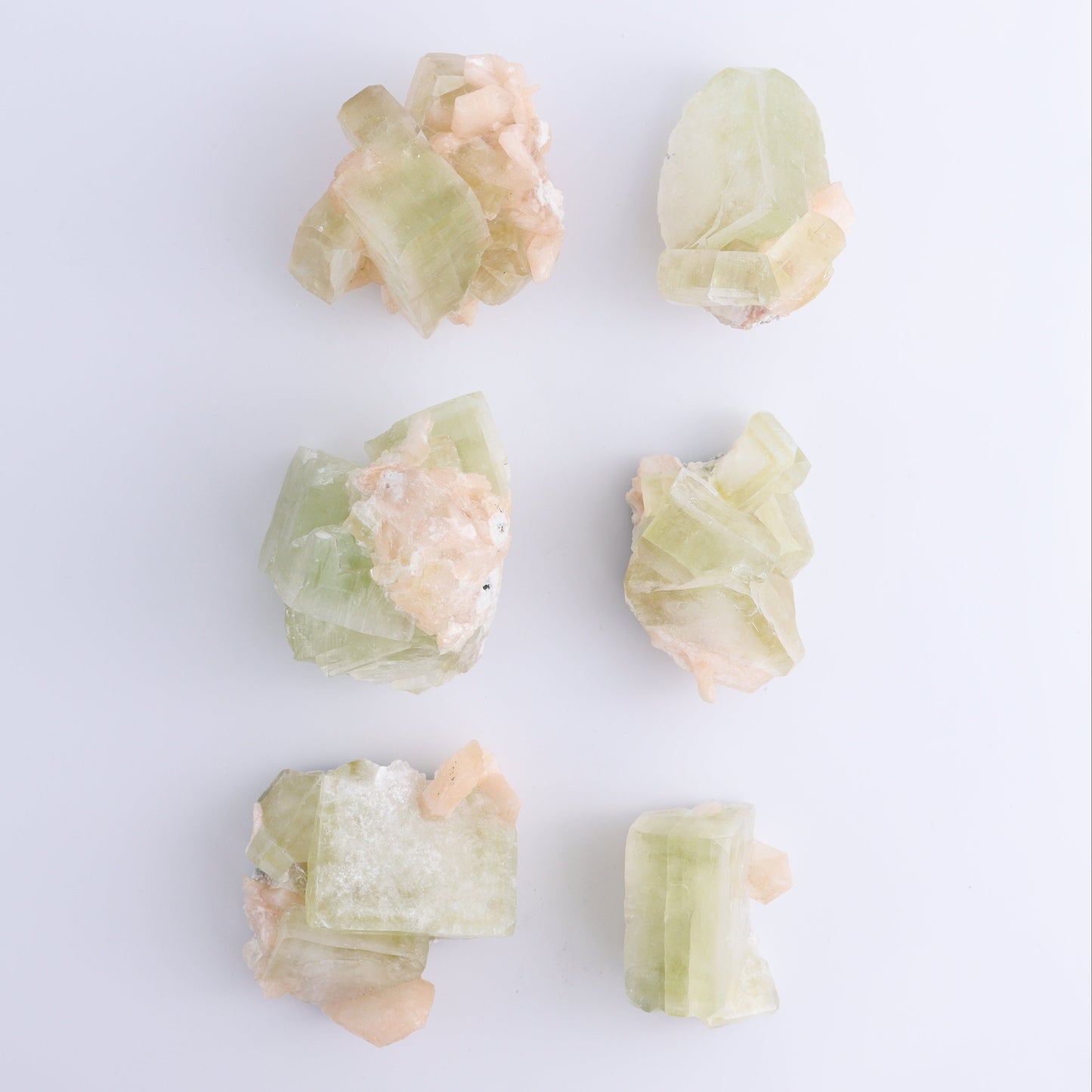 Apophyllite Clusters Flat of 6 - Expert Wholesale and Supplier of Wholesale Crystals & Bulk Gemstones, ["Apophyllite","Clusters","Flats"]