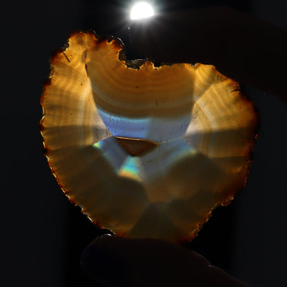 Iris Agate Slices Set of 9 - Expert Wholesale and Supplier of Wholesale Crystals & Bulk Gemstones, ["Agate","Iris Agate","Slices and Slabs"]