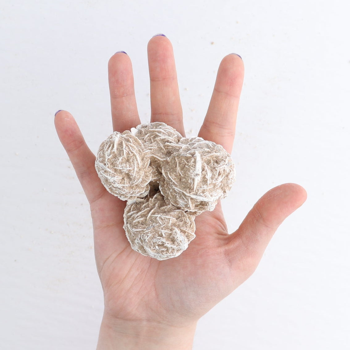 Desert Rose Set of 4