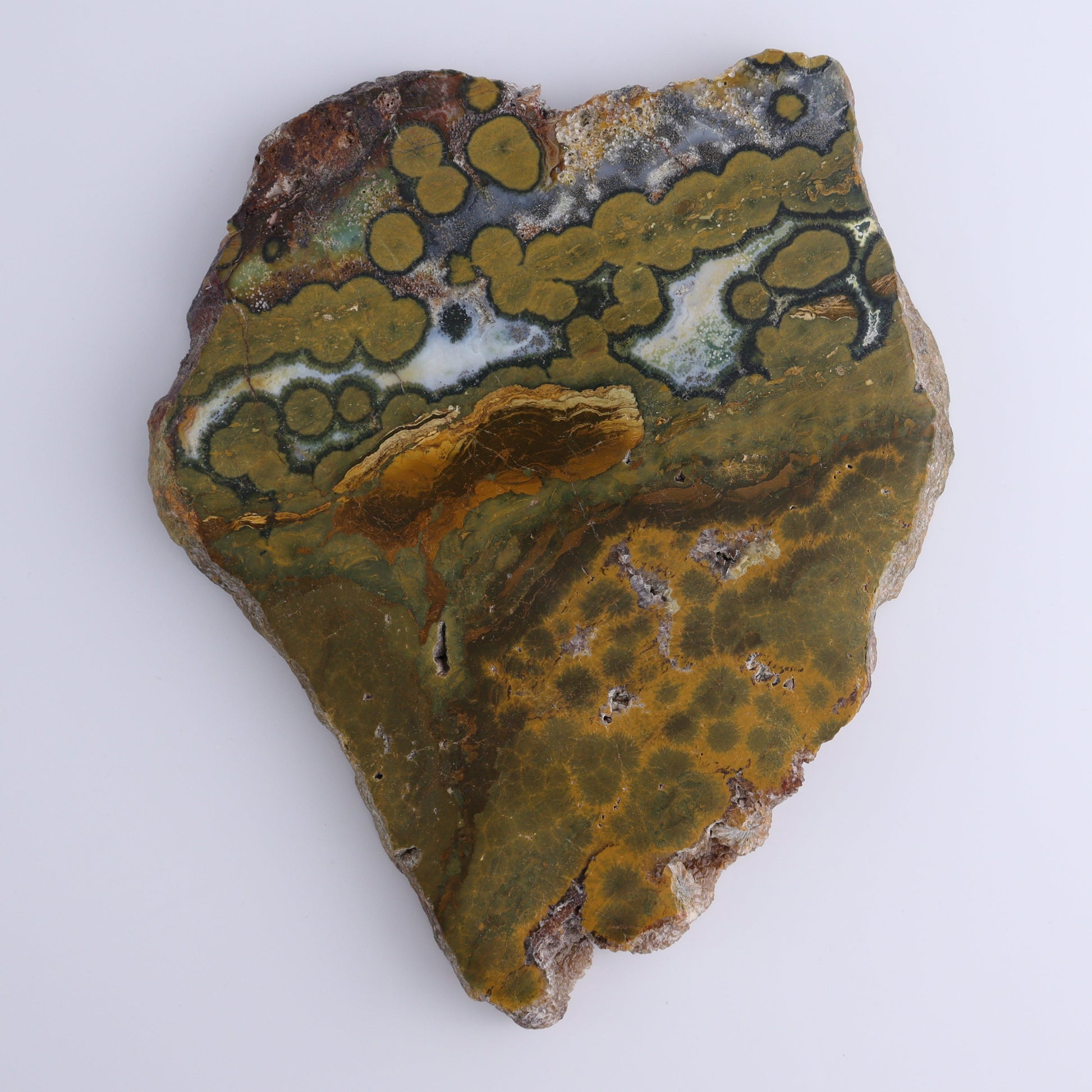 Ocean Jasper Slices & Slabs Set of 3 - Expert Wholesale and Supplier of Wholesale Crystals & Bulk Gemstones, ["close_50","Freeforms","jasper","Ocean Jasper"]