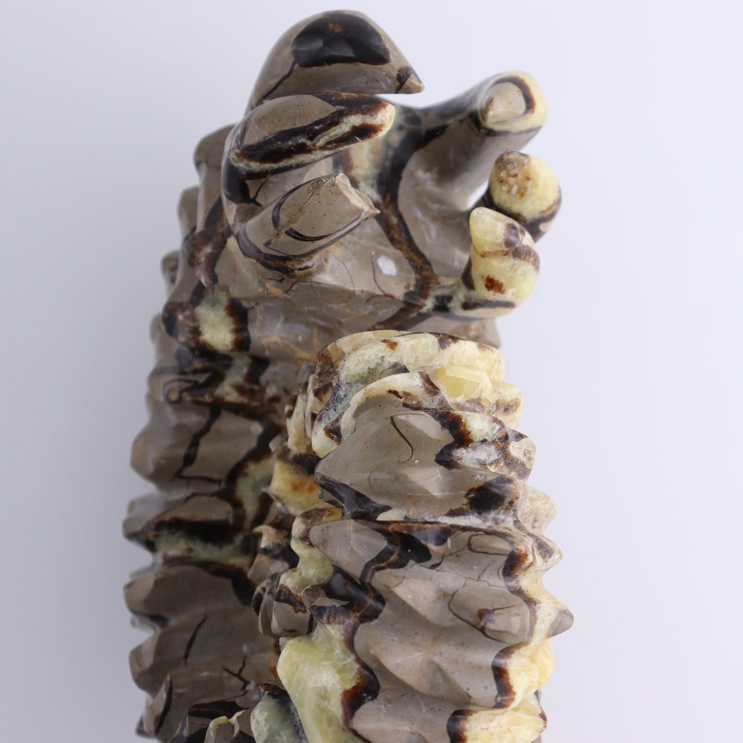 Septarian Mixed Carving - Expert Wholesale and Supplier of Wholesale Crystals & Bulk Gemstones, ["Madagascar","Septarian"]