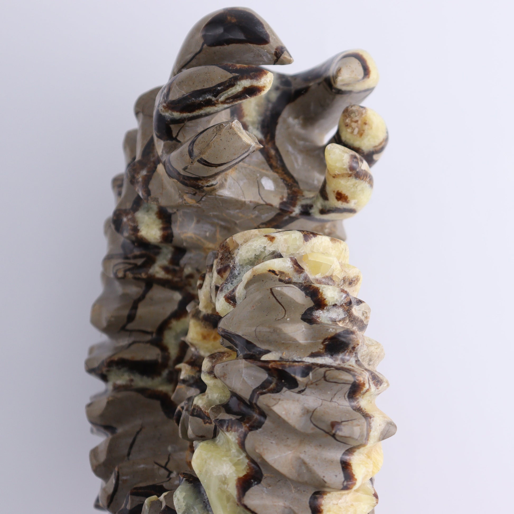 Septarian Mixed Carving - Expert Wholesale and Supplier of Wholesale Crystals & Bulk Gemstones, ["Madagascar","Septarian"]