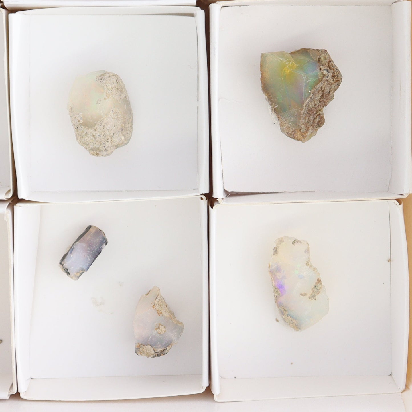 Ethiopian Opal Set of 11 - Expert Wholesale and Supplier of Wholesale Crystals & Bulk Gemstones, ["Ethiopia","ethiopian opal","Opal"]