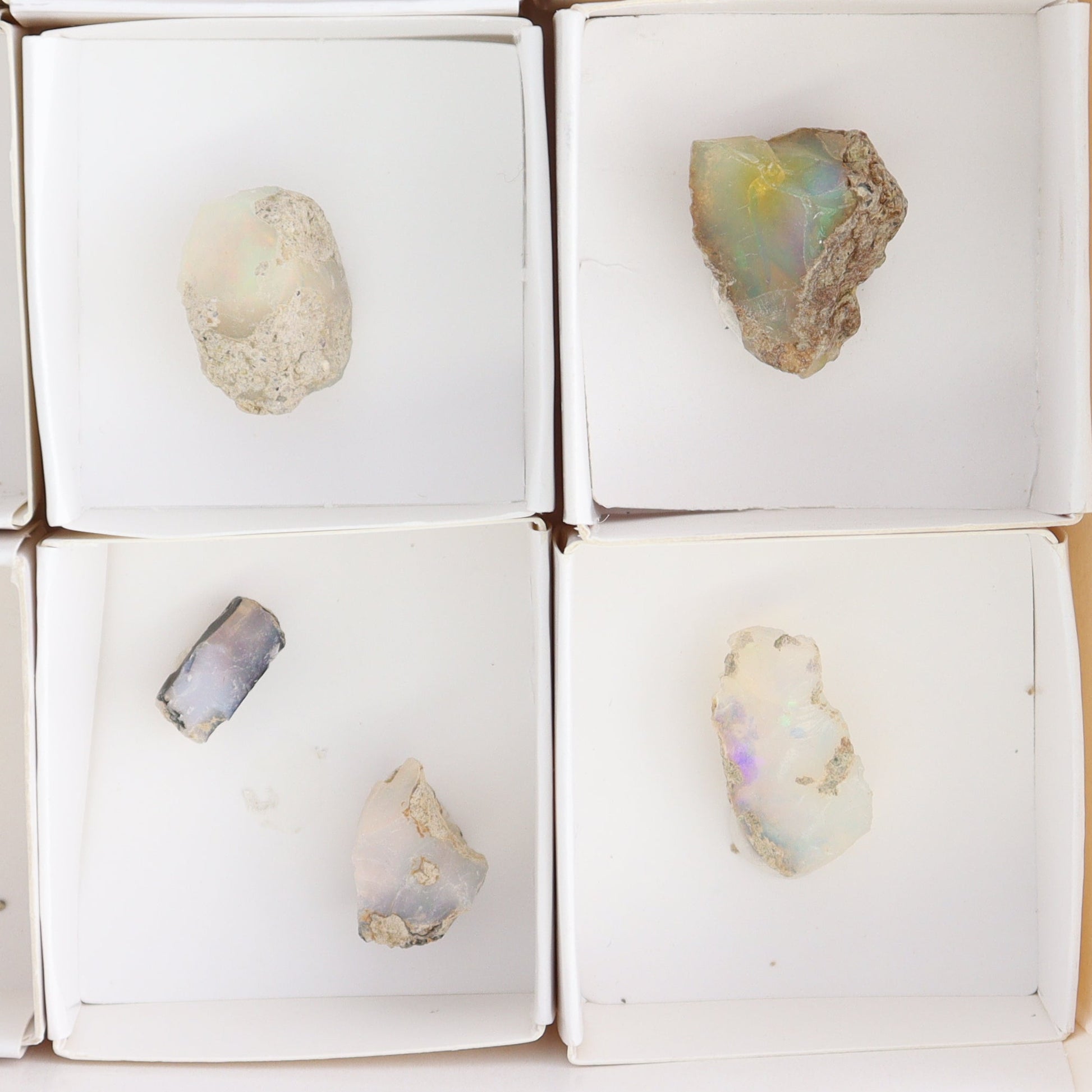Ethiopian Opal Set of 11 - Expert Wholesale and Supplier of Wholesale Crystals & Bulk Gemstones, ["Ethiopia","ethiopian opal","Opal"]