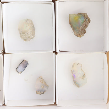 Ethiopian Opal Set of 11 - Expert Wholesale and Supplier of Wholesale Crystals & Bulk Gemstones, ["Ethiopia","ethiopian opal","Opal"]