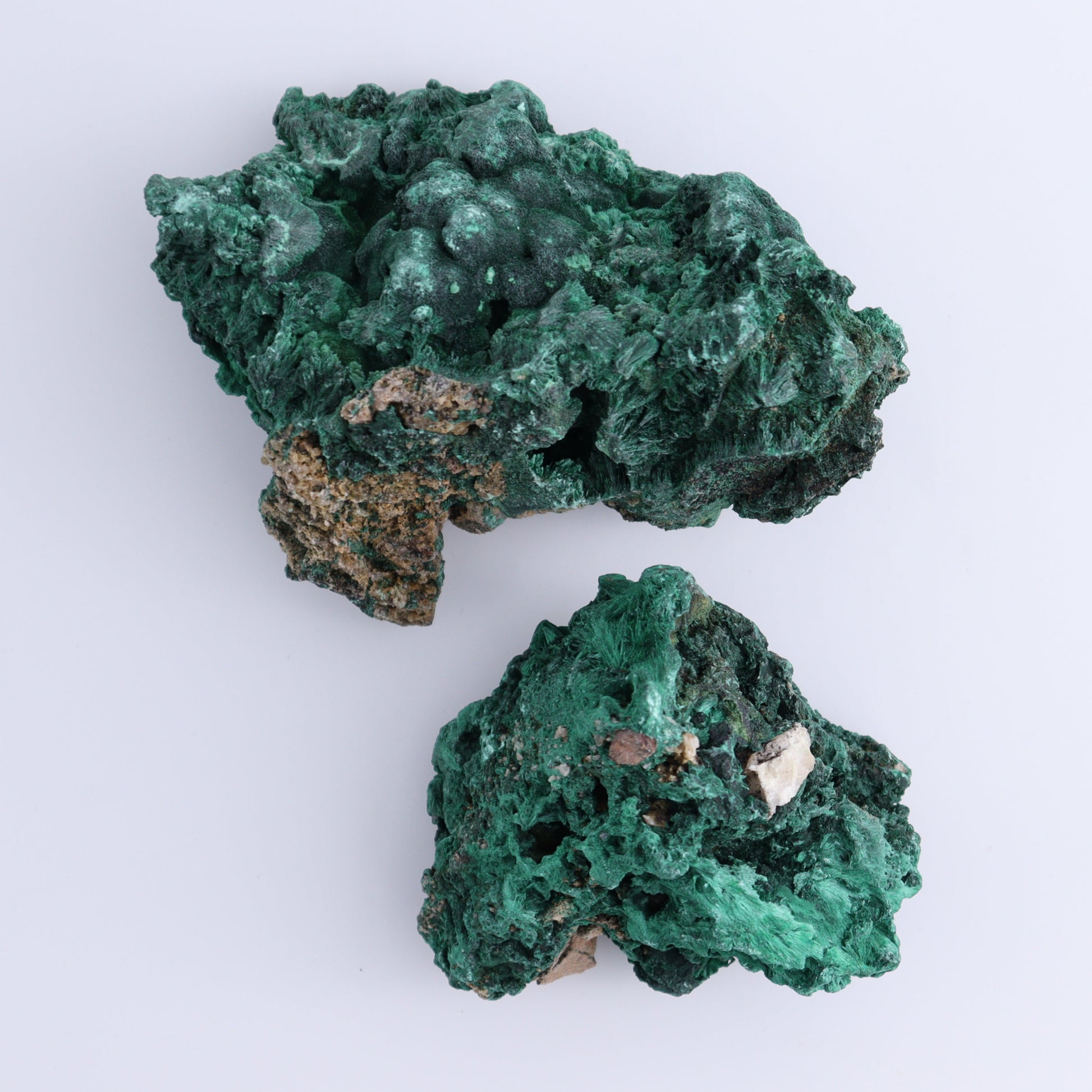 Malachite Freeforms Set of 2 - Expert Wholesale and Supplier of Wholesale Crystals & Bulk Gemstones, ["Freeform","Malachite","South Africa"]