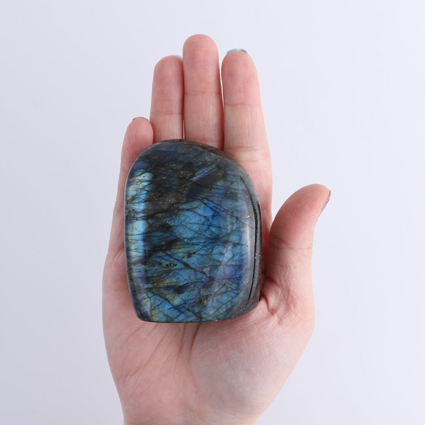 Labradorite Freeform Set of 7
