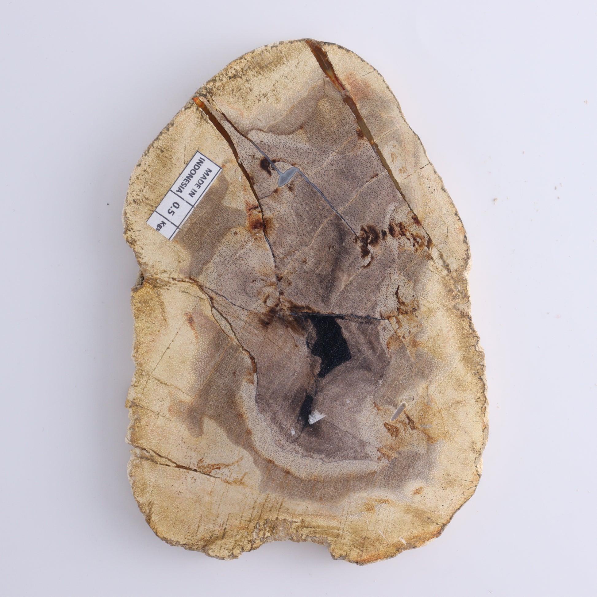 Petrified Wood Slices & Slabs Set of 3 - Expert Wholesale and Supplier of Wholesale Crystals & Bulk Gemstones, ["Freeforms","Indonesia","Petrified Wood","Slices and Slabs"]