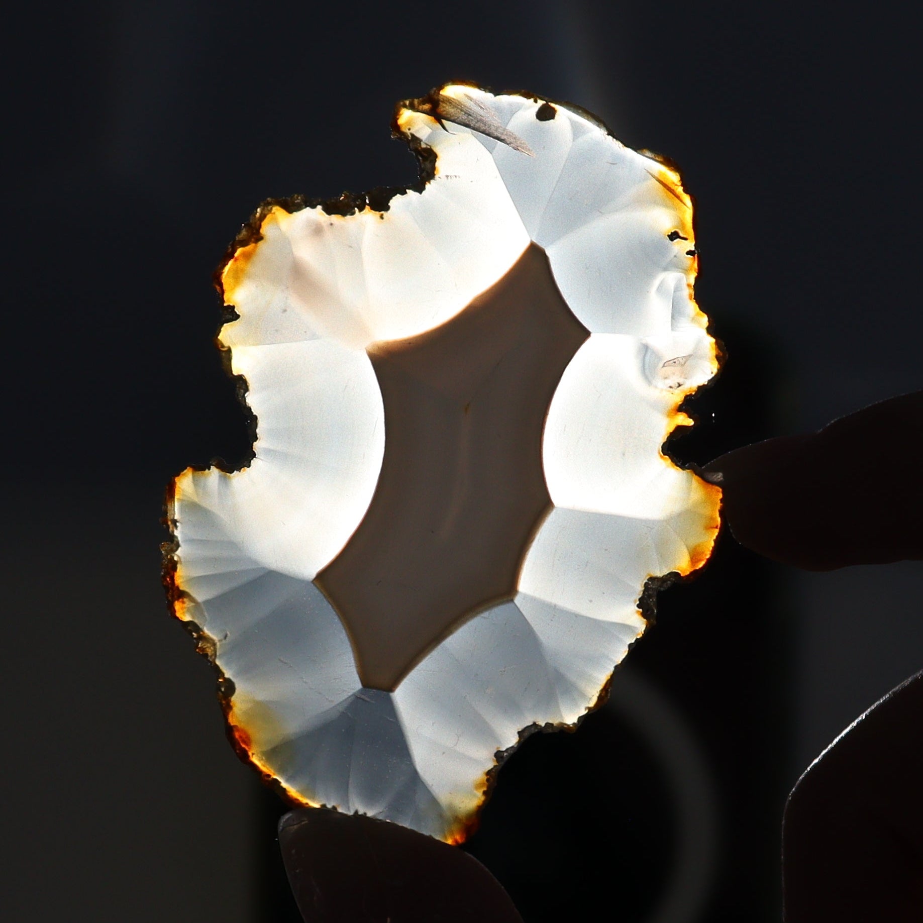 Iris Agate Slices Set of 8 - Expert Wholesale and Supplier of Wholesale Crystals & Bulk Gemstones, ["Agate","Iris Agate","Slices and Slabs"]