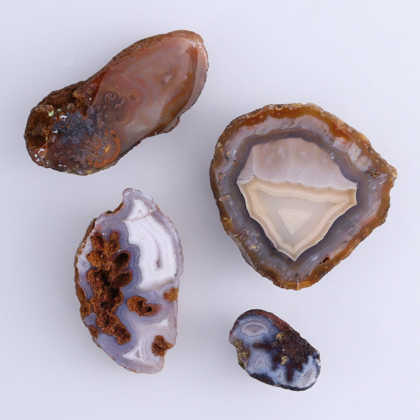 Coyamito Agate Geodes from Mexico Set of 7 - Expert Wholesale and Supplier of Wholesale Crystals & Bulk Gemstones, ["Agate","Coyamito Agate","Geodes","Mexico"]