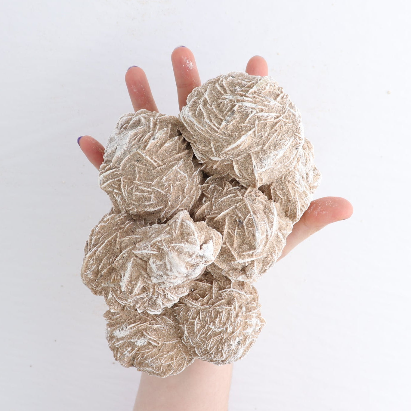 Desert Rose Set of 4
