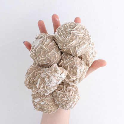 Desert Rose Set of 4