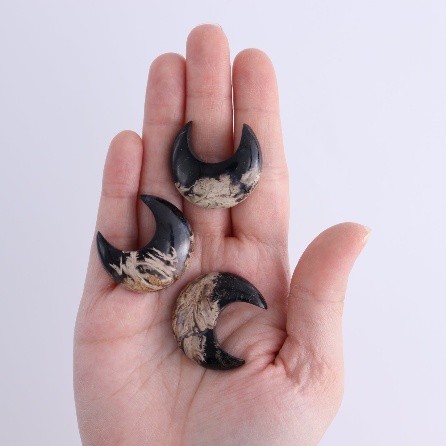 One Palm Root Moon Cab - Expert Wholesale and Supplier of Wholesale Crystals & Bulk Gemstones, ["Cabs","moons","Palm Root"]