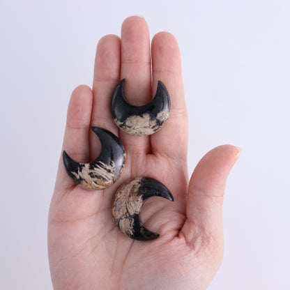 One Palm Root Moon Cab - Expert Wholesale and Supplier of Wholesale Crystals & Bulk Gemstones, ["Cabs","moons","Palm Root"]