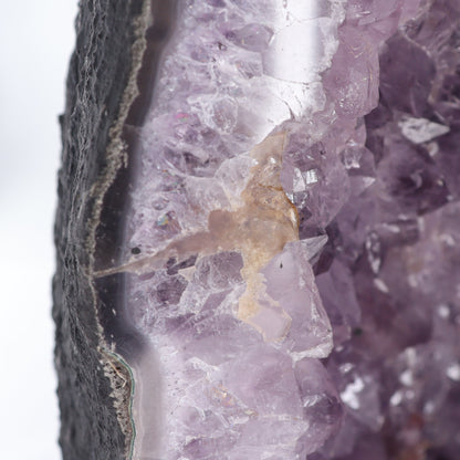 Amethyst Cathedral - Expert Wholesale and Supplier of Wholesale Crystals & Bulk Gemstones, ["Amethyst","Amethyst Cathedral","Brazil","cathedral"]