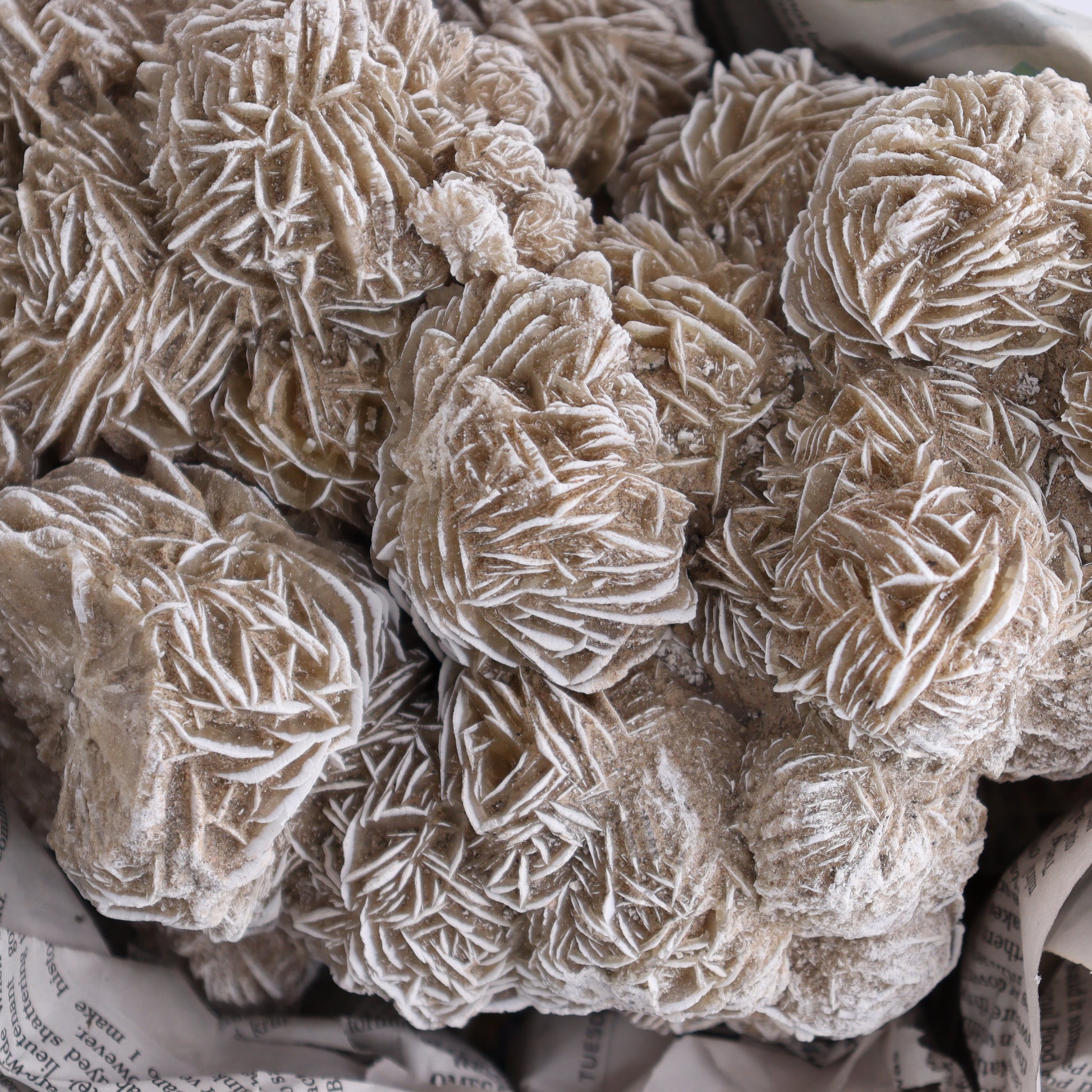 Desert Rose Cluster - Expert Wholesale and Supplier of Wholesale Crystals & Bulk Gemstones, ["Desert Rose","Freeforms"]