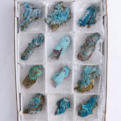 Chrysocolla on Quartz Roughs Set of 12 - Expert Wholesale and Supplier of Wholesale Crystals & Bulk Gemstones, ["Chrysocolla","Flats","Freeforms","Peru","Quartz","Rough"]