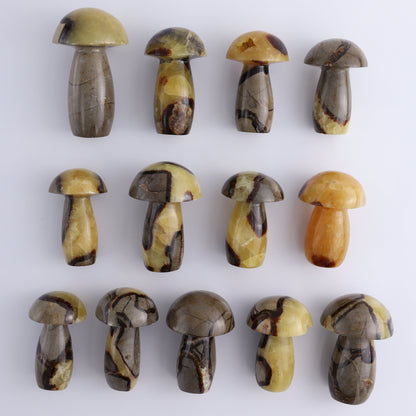 Septarian Mushrooms Set of 13 - Expert Wholesale and Supplier of Wholesale Crystals & Bulk Gemstones, ["Mushrooms","Septarian"]