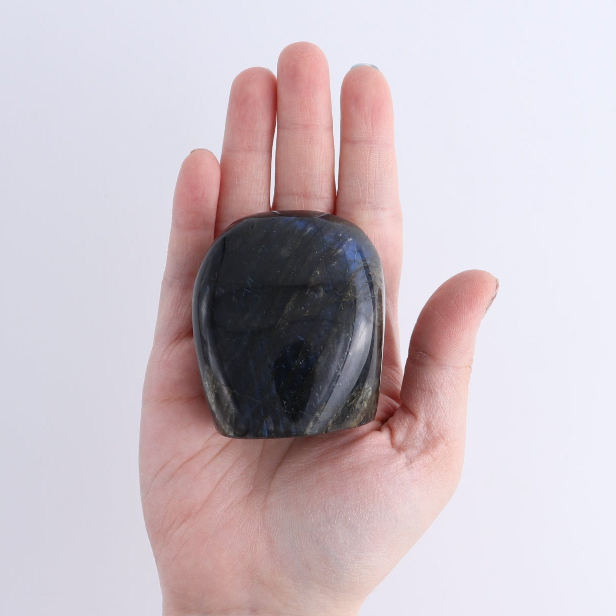 Labradorite Freeform Set of 8