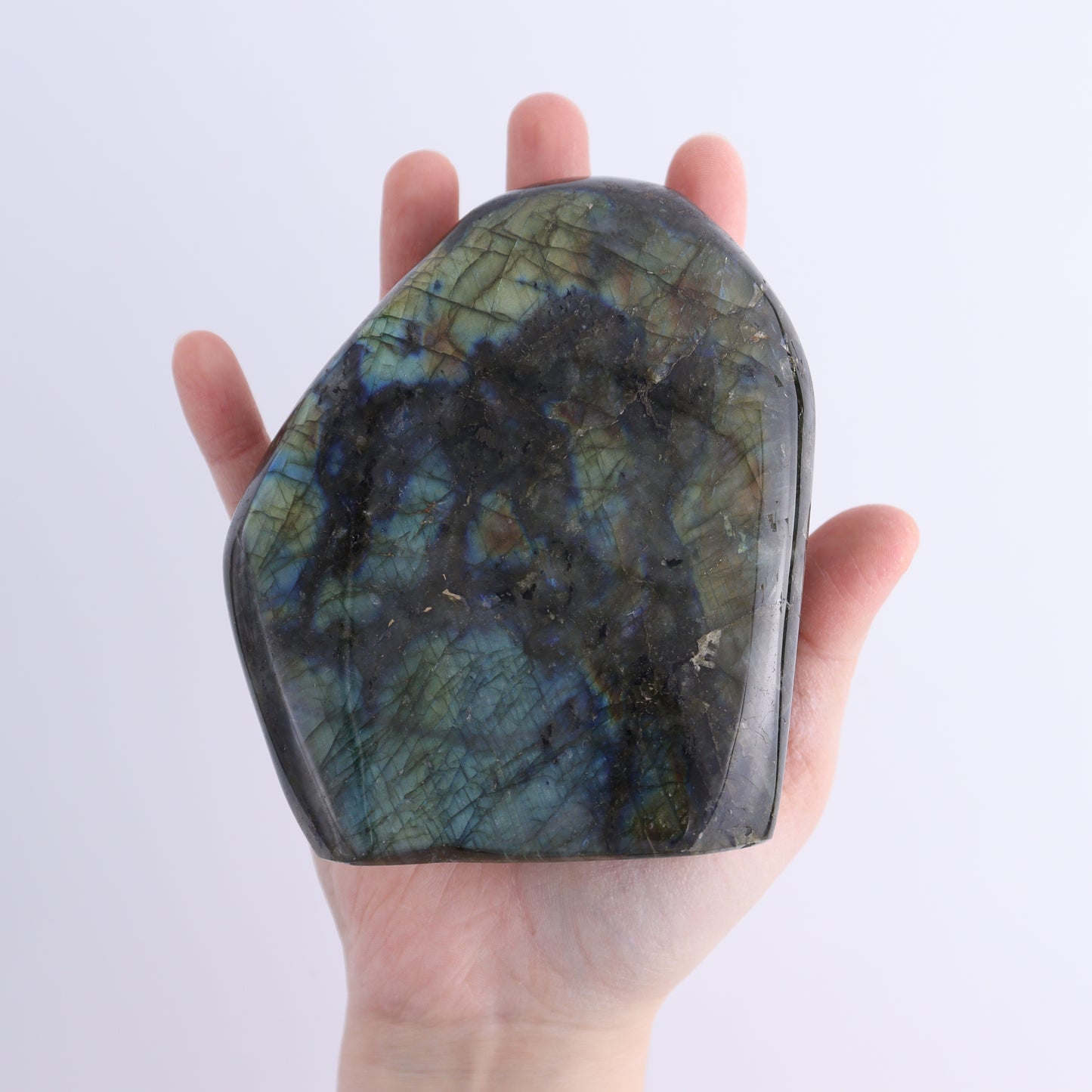 Labradorite Freeform Set of 6 - Expert Wholesale and Supplier of Wholesale Crystals & Bulk Gemstones, ["Freeforms","Labradorite","Madagascar"]