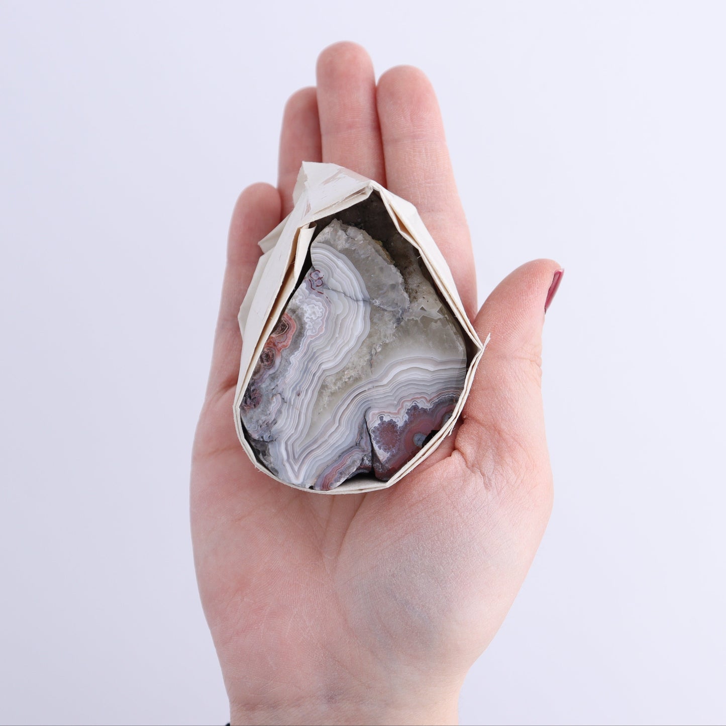 Crazy Lace Agate Flat of 12 - Expert Wholesale and Supplier of Wholesale Crystals & Bulk Gemstones, ["Crazy Lace Agate","Mexico"]