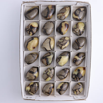 Septarian Freeforms Set of 24 - Expert Wholesale and Supplier of Wholesale Crystals & Bulk Gemstones, ["Freeforms","Madagascar","Septarian"]