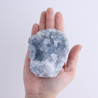 Celestite Clusters Set of 4 - Expert Wholesale and Supplier of Wholesale Crystals & Bulk Gemstones, ["Celestite","Freeform"]