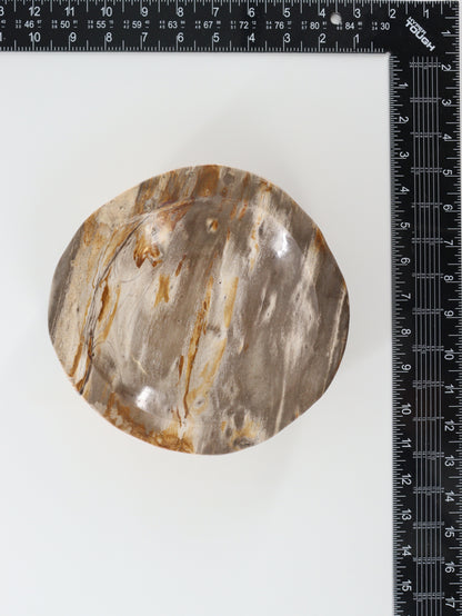 Petrified Wood Bowl - Expert Wholesale and Supplier of Wholesale Crystals & Bulk Gemstones, []