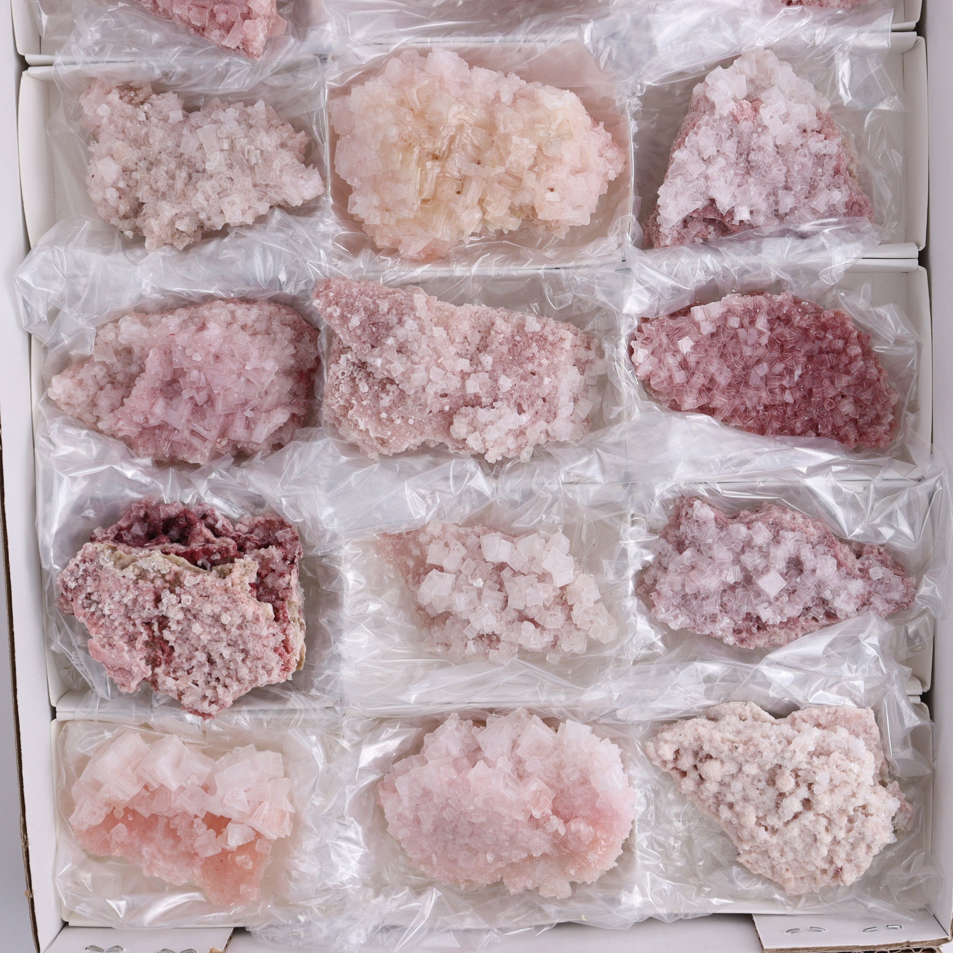 Pink Halite Set of 18 - Expert Wholesale and Supplier of Wholesale Crystals & Bulk Gemstones, ["Flats","Halite","Pink Halite","United States"]