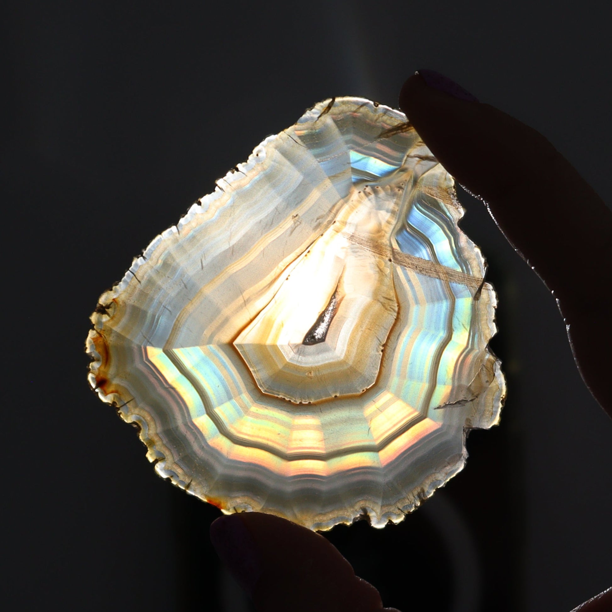 Iris Agate Slices Set of 6 - Expert Wholesale and Supplier of Wholesale Crystals & Bulk Gemstones, ["Agate","Iris Agate","Slices and Slabs"]