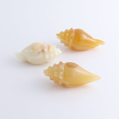 One Mexican Onyx/Calcite Shell Cut Base Beige/Honey