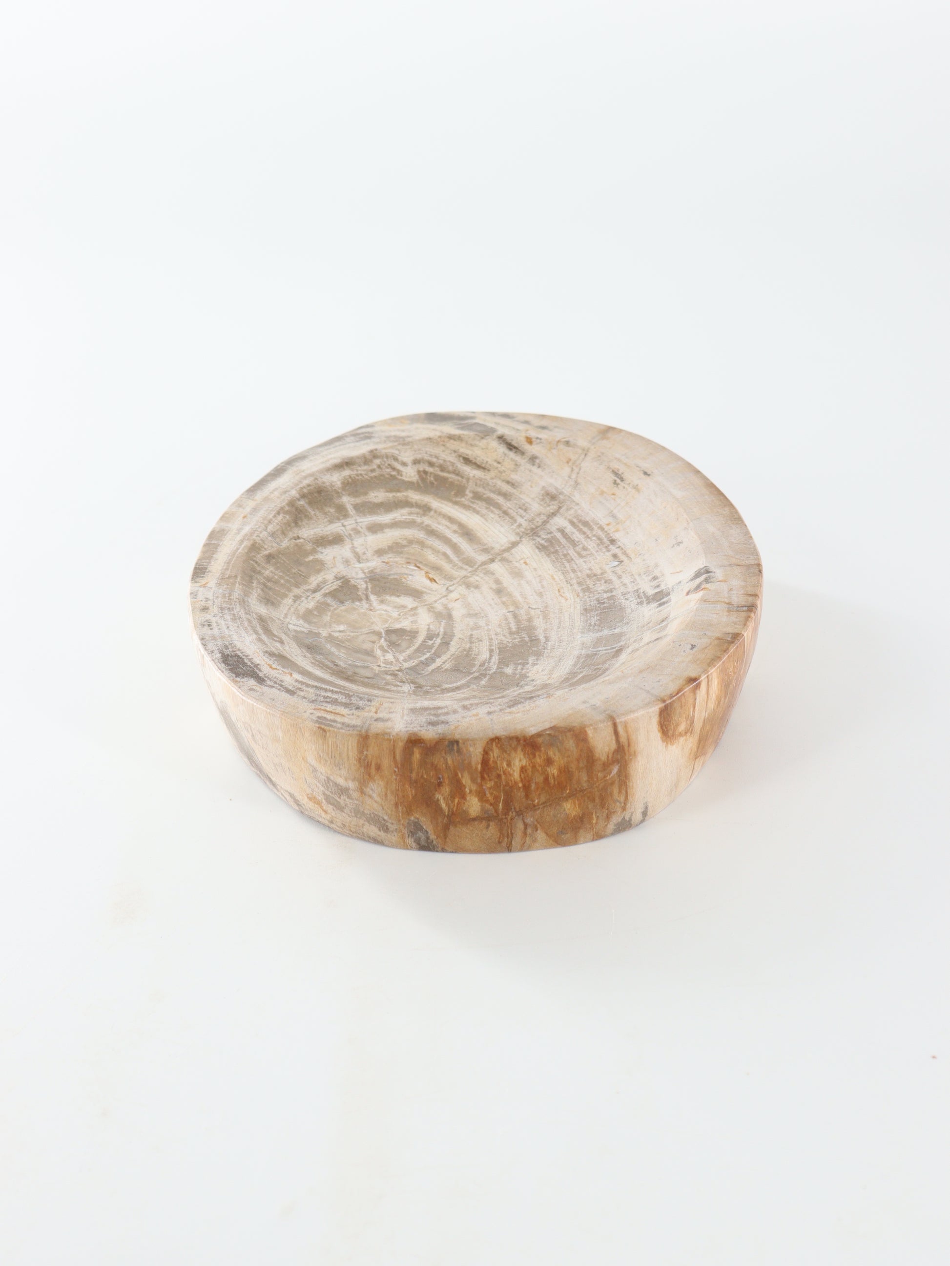 Petrified Wood Bowl - Expert Wholesale and Supplier of Wholesale Crystals & Bulk Gemstones, []