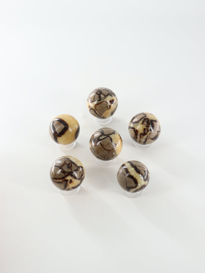 Septarian Spheres Set of 6 - Expert Supplier of Wholesale Crystals & Bulk Gemstones