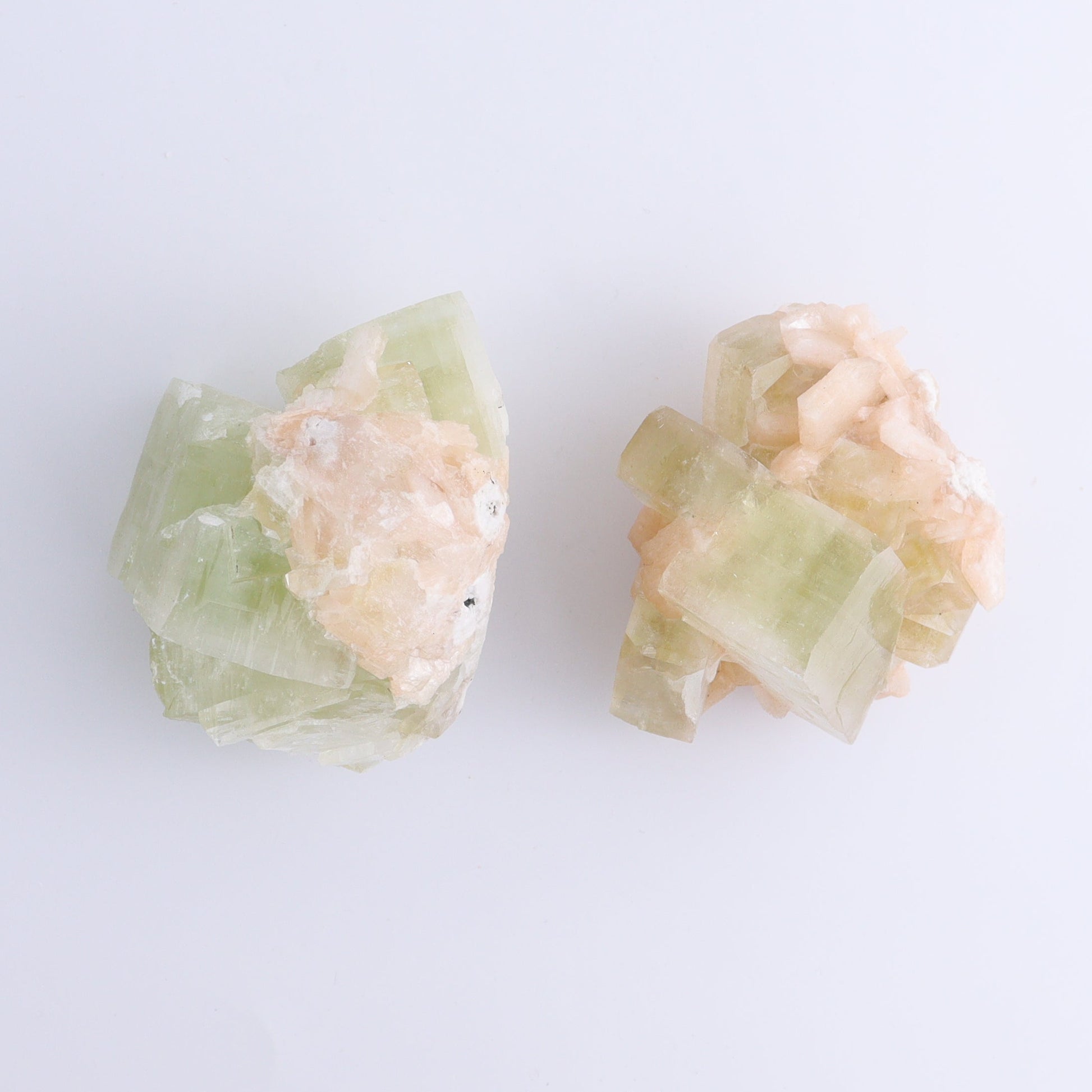 Apophyllite Clusters Flat of 6 - Expert Wholesale and Supplier of Wholesale Crystals & Bulk Gemstones, ["Apophyllite","Clusters","Flats"]