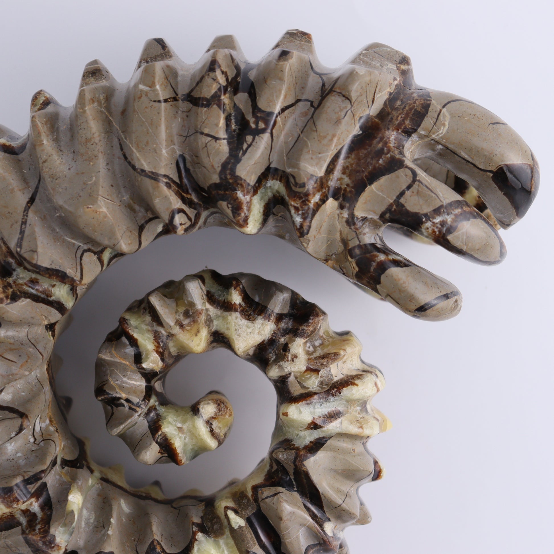 Septarian Mixed Carving - Expert Wholesale and Supplier of Wholesale Crystals & Bulk Gemstones, ["Madagascar","Septarian"]