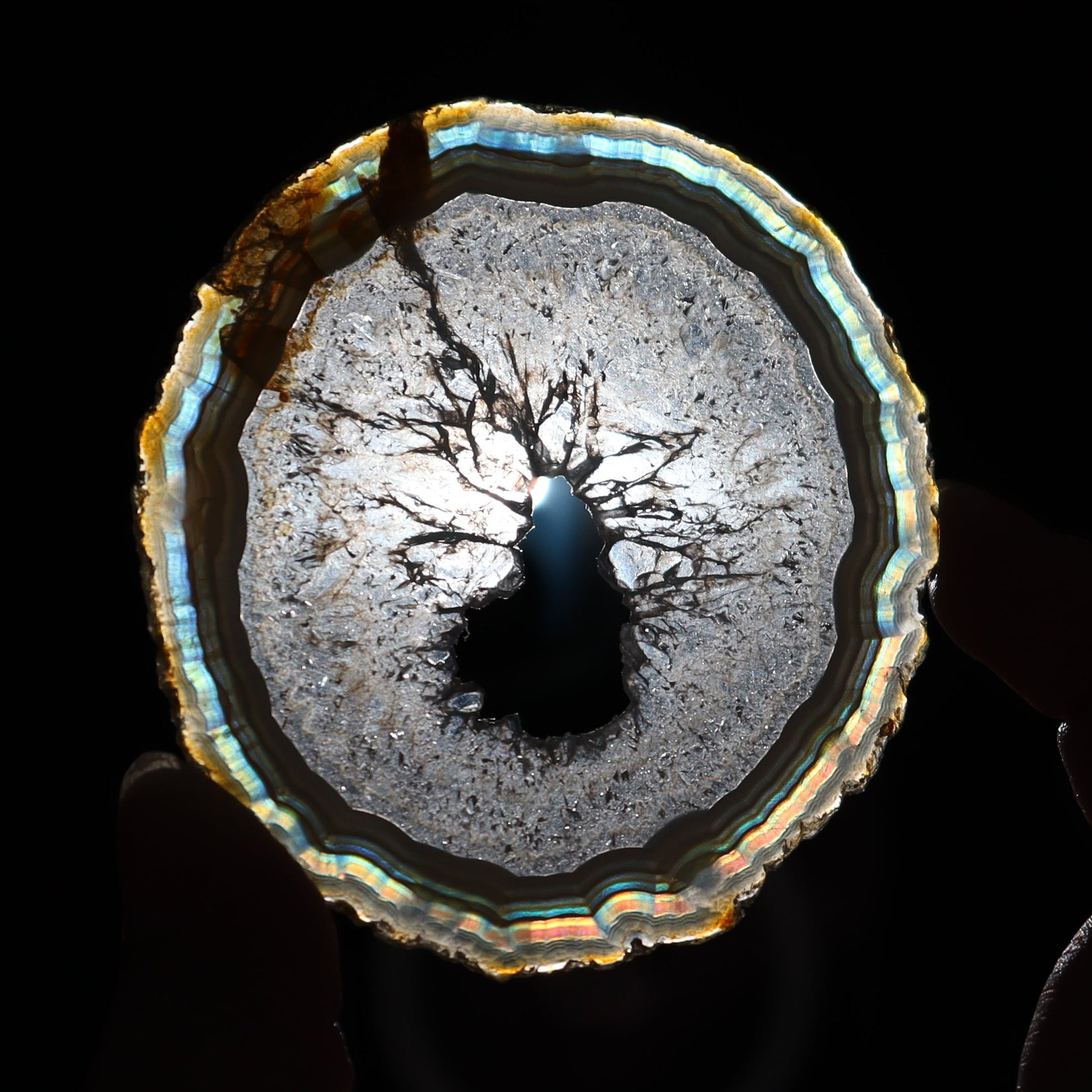 Iris Agate Slices Set of 6 - Expert Wholesale and Supplier of Wholesale Crystals & Bulk Gemstones, ["Agate","Iris Agate","Slices and Slabs"]