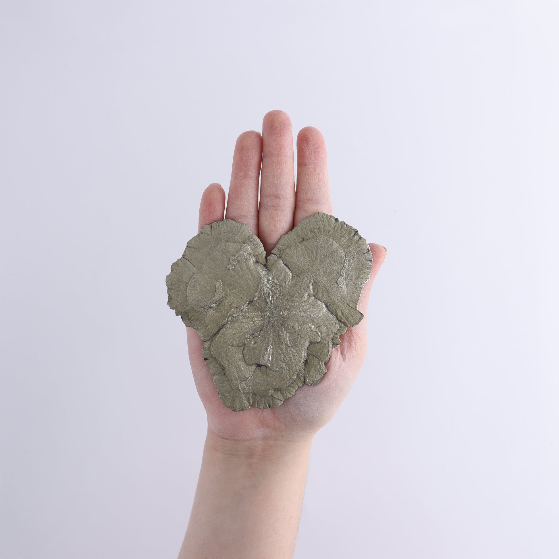 Pyrite Suns Flat of 6 - Expert Wholesale and Supplier of Wholesale Crystals & Bulk Gemstones, ["Pyrite","Suns","United States"]