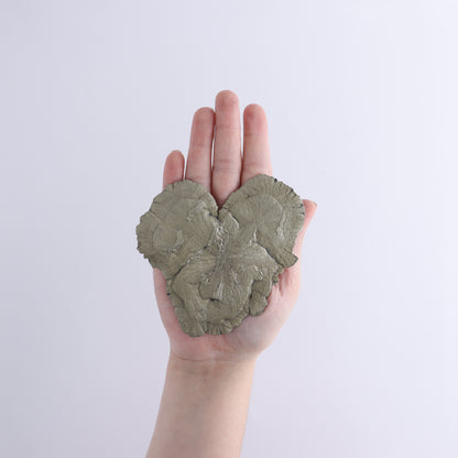 Pyrite Suns Flat of 6 - Expert Wholesale and Supplier of Wholesale Crystals & Bulk Gemstones, ["Pyrite","Suns","United States"]