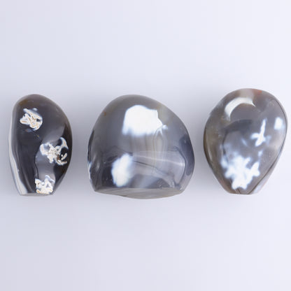 Orca Agate Freeform Set of 5 - Expert Wholesale and Supplier of Wholesale Crystals & Bulk Gemstones, ["Freeforms","Madagascar","Orca Agate"]