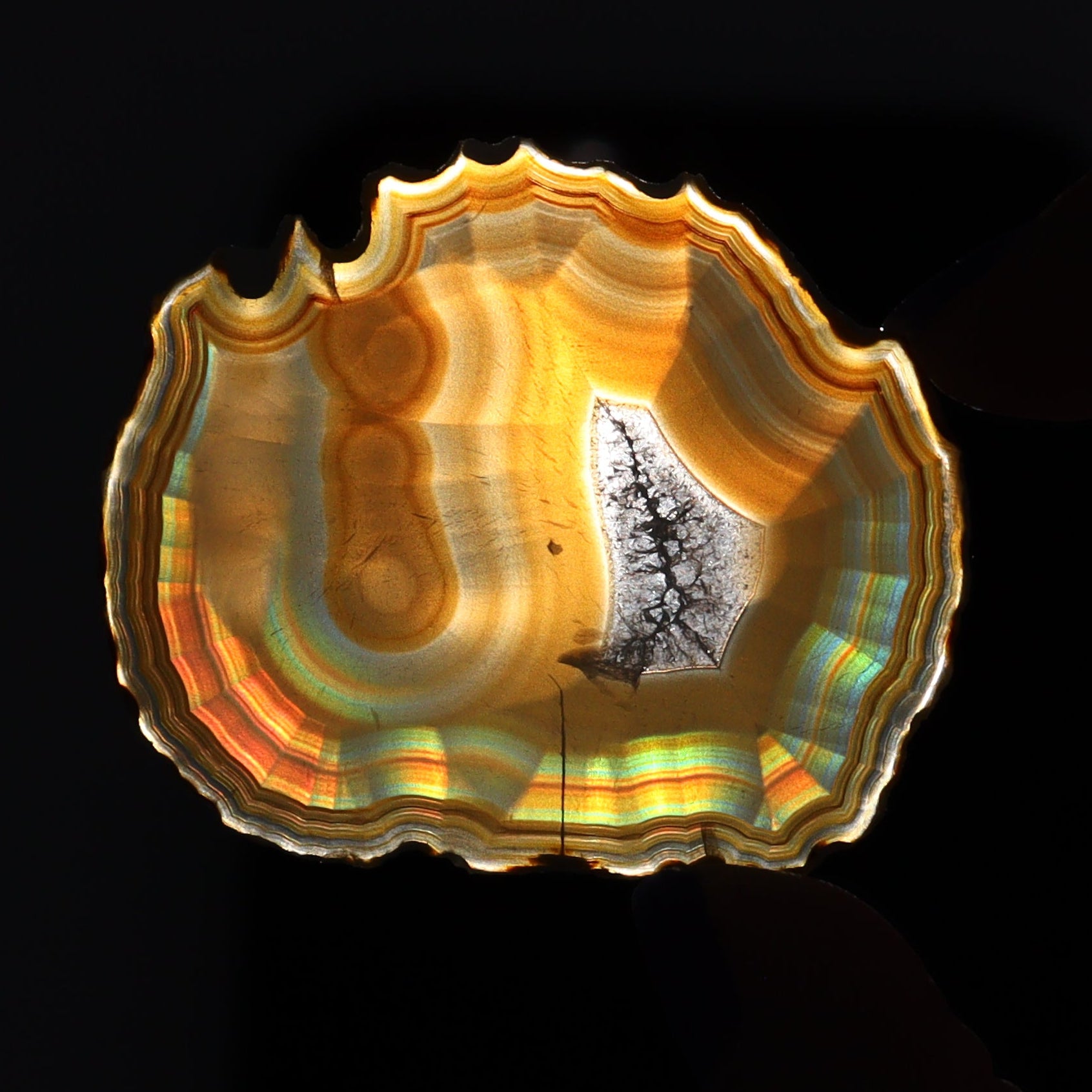 Iris Agate Slices Set of 7 - Expert Wholesale and Supplier of Wholesale Crystals & Bulk Gemstones, ["Agate","Iris Agate","Slices and Slabs"]