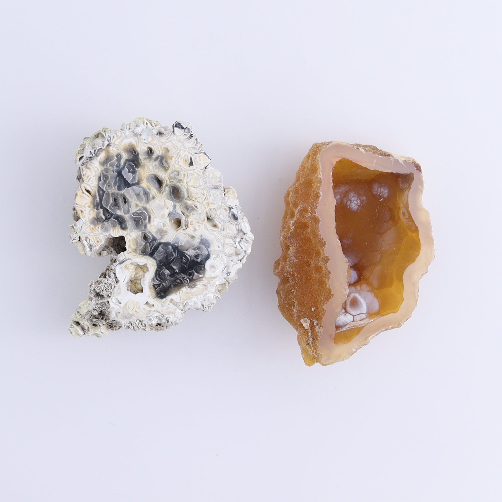 Agatized Coral Flat - Expert Wholesale and Supplier of Wholesale Crystals & Bulk Gemstones, ["Agate","Agatized Coral","Coral","United States"]